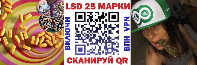 Купить закладки  Новая Ладога  ЛСД экстази ecstasy 