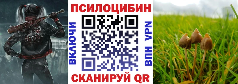 Купить где  Новая Ладога  Галлюциногенные грибы мухоморы 